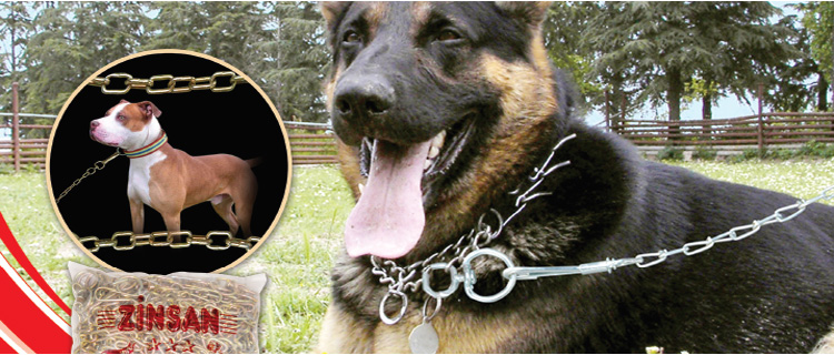 KÖPEK ZİNCİRİ 40*200 12 Lİ PAKET 